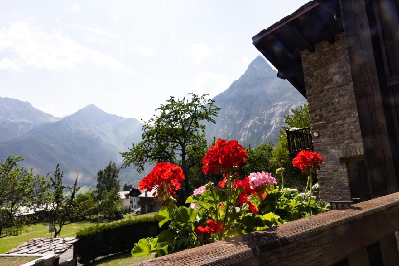 The Mountain View Lodge Courmayeur Exterior photo