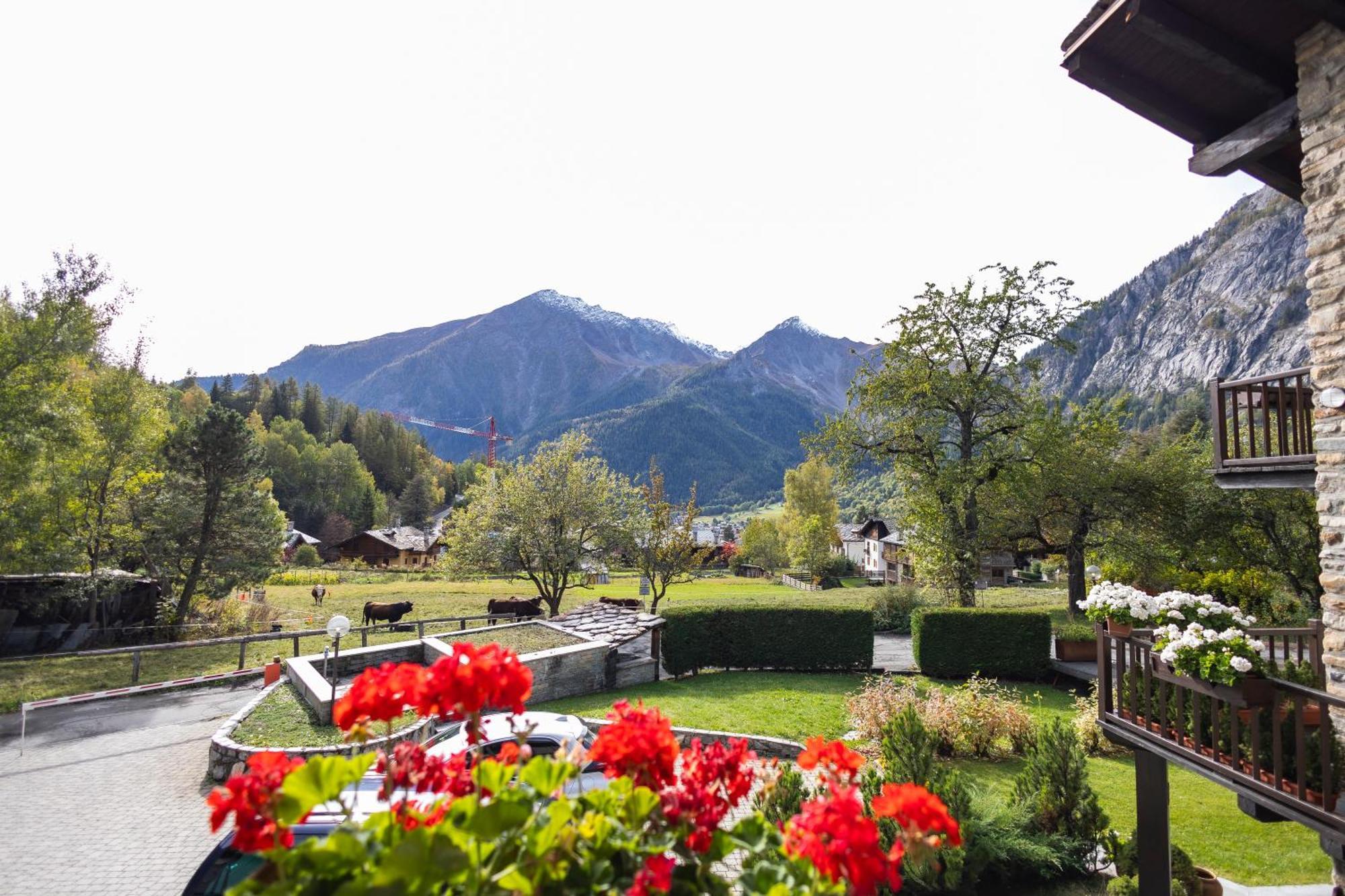 The Mountain View Lodge Courmayeur Exterior photo